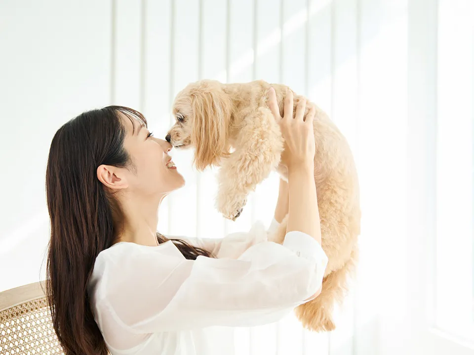飼い犬の登録