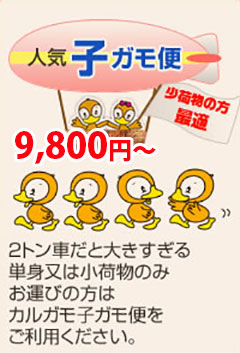子ガモ便